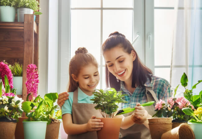 Get Back To A Happy & Healthy Life!