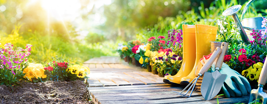 spring gardening